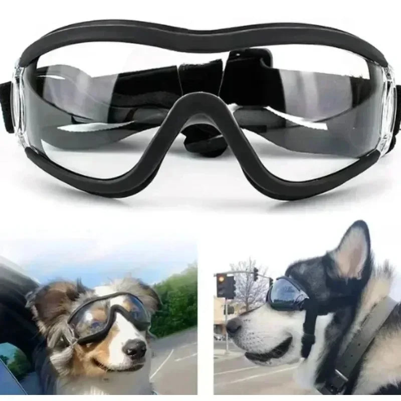 ZnoetZone PupShades – Zonbescherming Met Stijl & Karakter