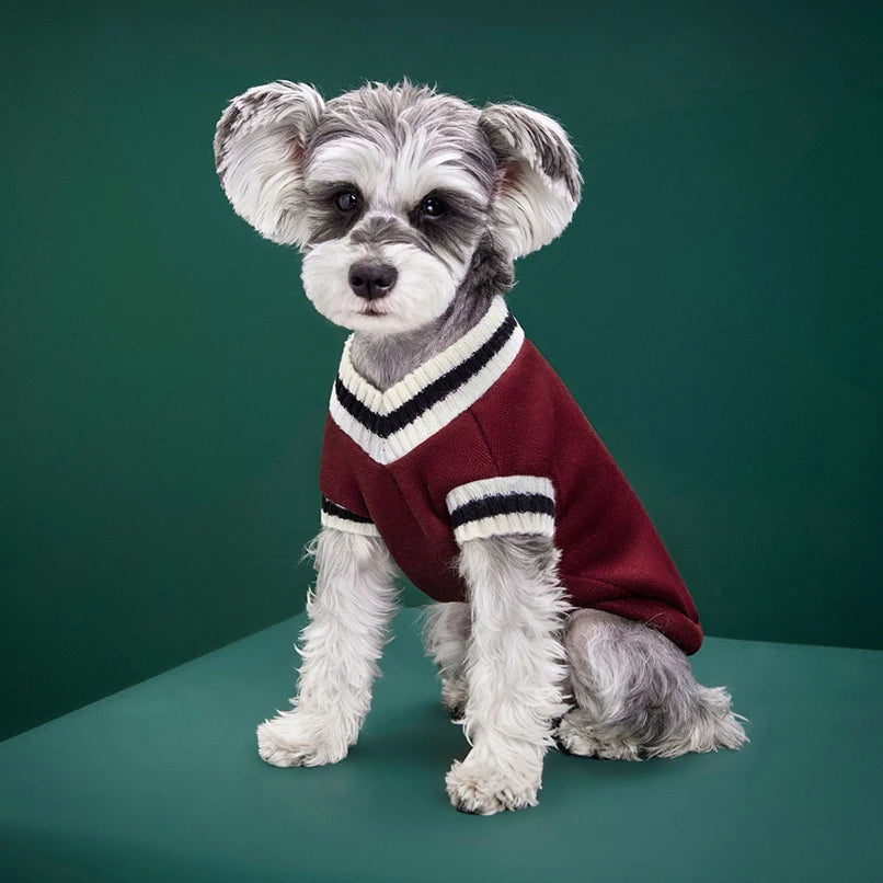 ZnoetZone VarsityVest – Preppy Warmte voor Kleine & Grote Snuiten