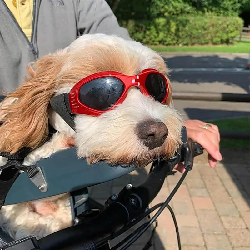 ZnoetZone SummerShades – Vouwbare Zonnebril voor Zonnige Snuiten