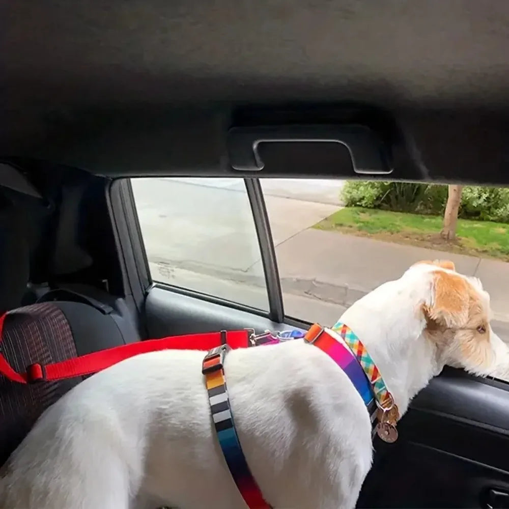ZnoetZone Headrest Strap – Slimme Autogordel voor Kleine Snuiten