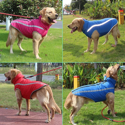 ZnoetZone PowerCoat – Warme, Waterdichte Jas voor Grote Snuiten